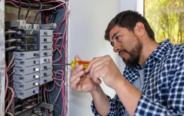 Best Electrical System Inspection  in Carney, MD